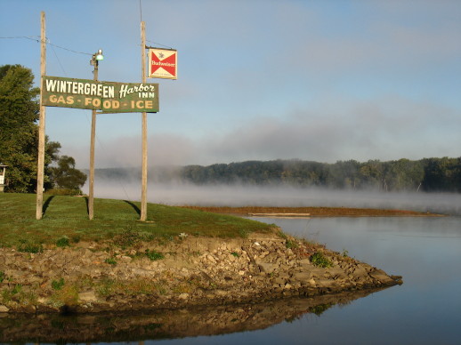 duckys at dawn1.jpg